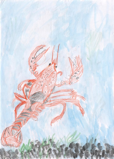 元気なザリガニ