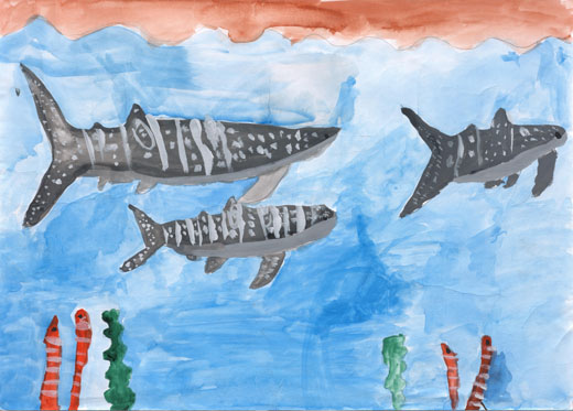 じんべいざめのむれ