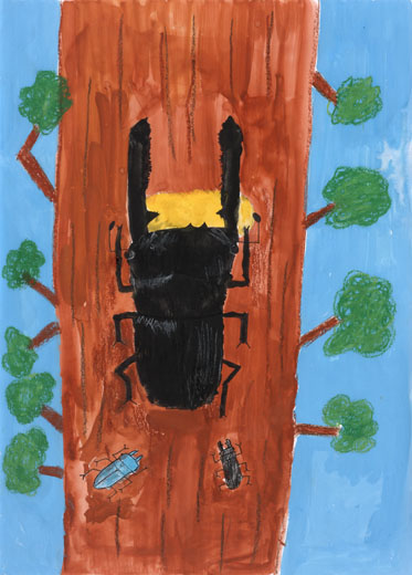 じゅえきをすっているヒラタクワガタ