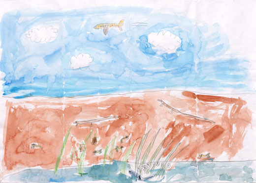 きれいなくうきみずといきもの