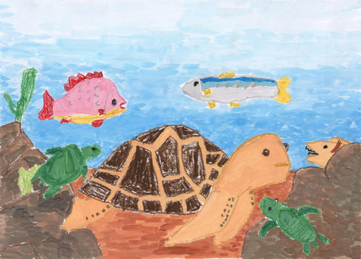 みどりのかめのあかちゃん