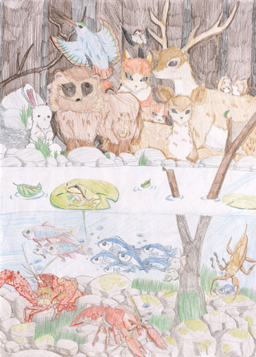 平穏な森と水の暮らし