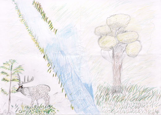 カモシカとしんぴのばしょ