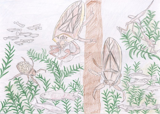 生き物たちの住む世界