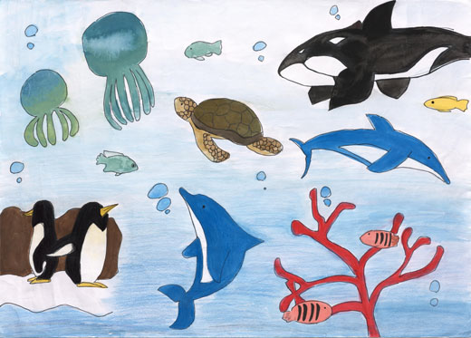 くらしやすい海