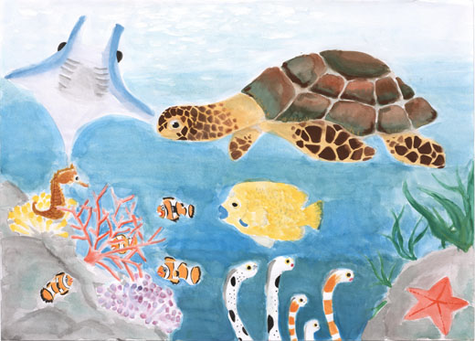 きれいな海と元気な海の生き物たち