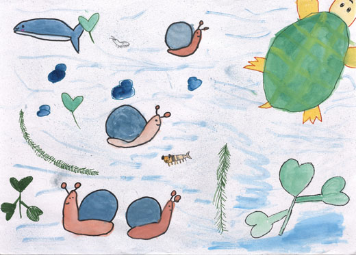 きれいな川の生きものたち