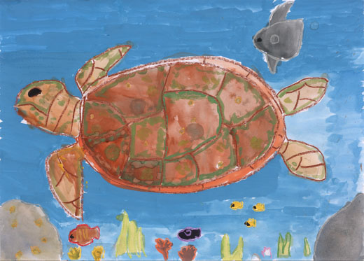 きれいな空気水と生物