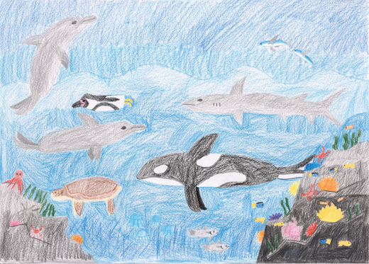 いろんな所にいる海の生き物