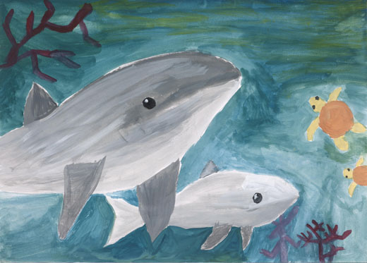 元気な海の生きものたち