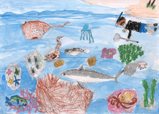 きれいなサンゴしょうのある海