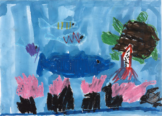 いるかはいかをたべたい