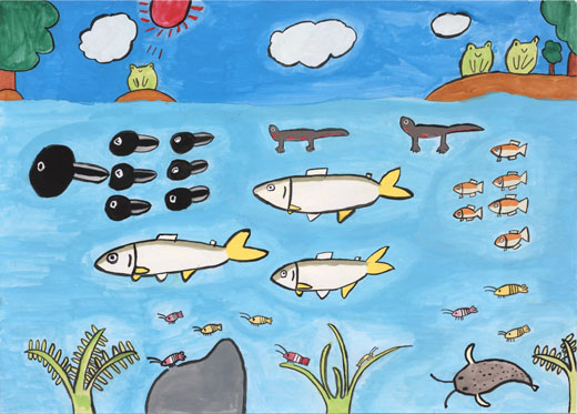 生きものいっぱい