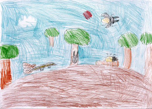 大きな森に虫いっぱい