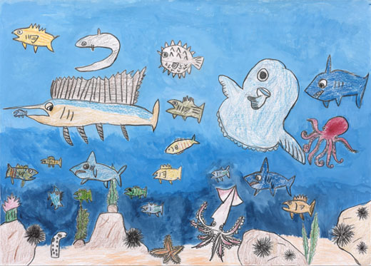 きれいな海には魚がいっぱい