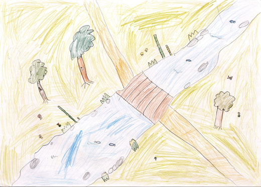 きれいなかわといきもの