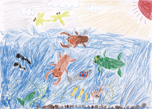 みずのなかのいきものいっぱい