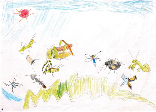 かすがいしのむし