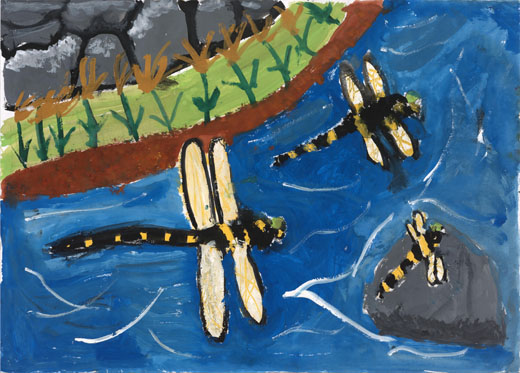 オニヤンマ見つけたよ