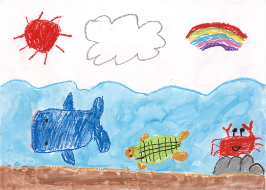 きれいな海とすきな生き物