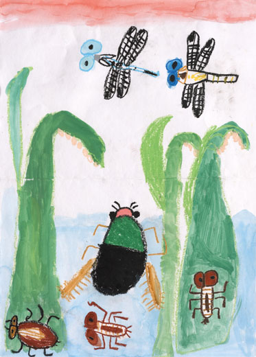 たくさんの生きものがすむ かすがい