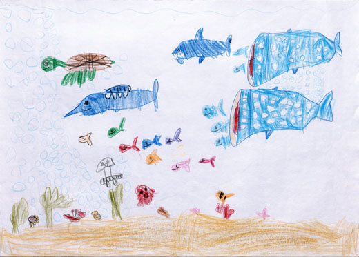 うみのいろんないきもの