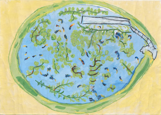 ハスバチの中の水草とクッピー