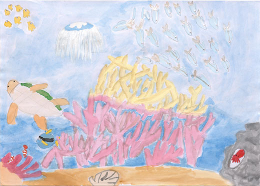 沖なわのサンゴを大切に