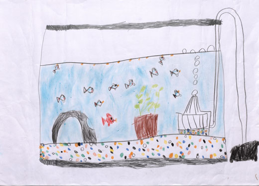 かわいいさかなたち