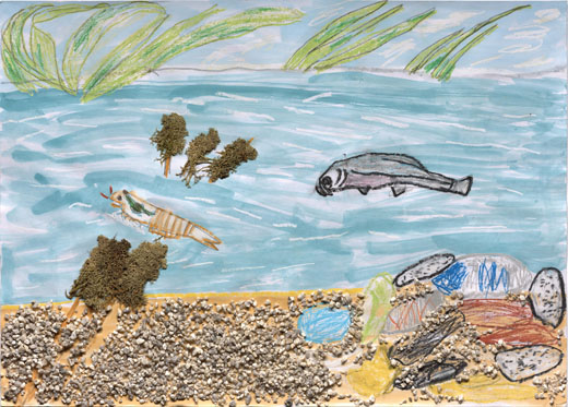 しぜんのきれいなかわのなか