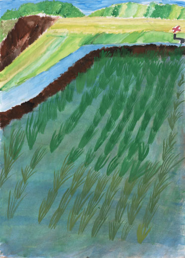 下山の自まんの田んぼ