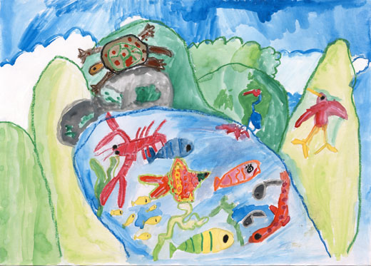 きれいな生き物