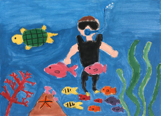 きれいな海の魚たち