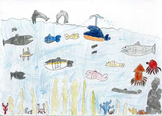 いきいきしてる魚たち