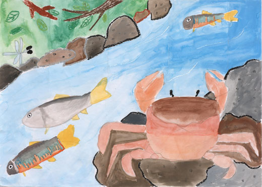 いきものたちの家