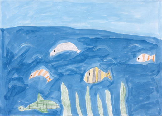 きれいの空気と海の生きもの