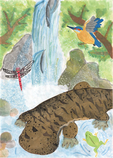 あふれる自然とオオサンショウウオ