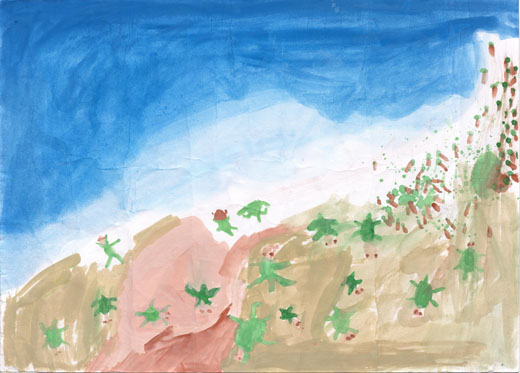 さんらんのウミガメ