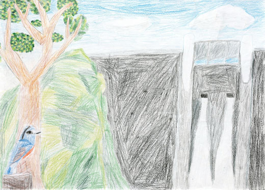 ダムの前でなく鳥