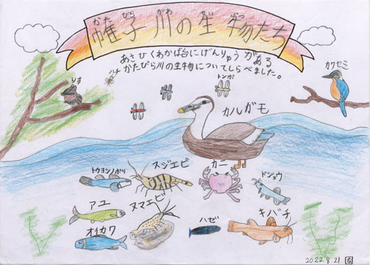 帷子川の生物たち