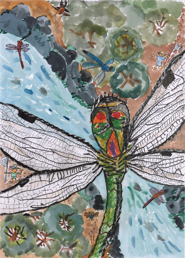 タカネトンボのすむところ