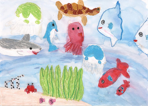 きれいな海と魚たち