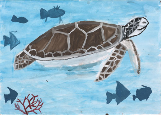 ウミガメのすむせかい