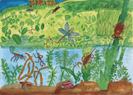 水辺にいる昆虫たち