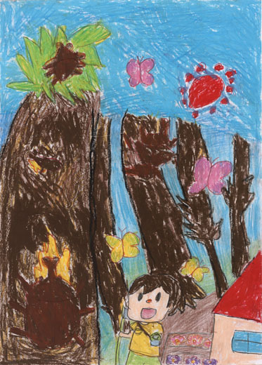 カブトムシとぼく