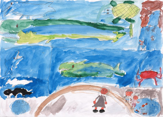 「海の生きものたちをいっぱいかんさつしたよ。」