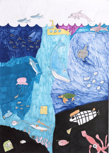 海の生きものたち