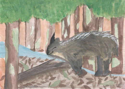 ニホンカモシカと森と水