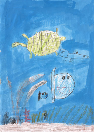 うみのいきもの