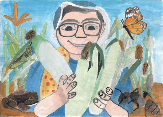 トウモロコシができたよ